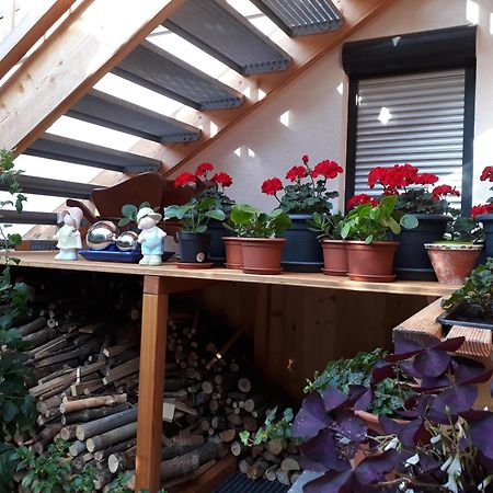 Apartchalet Sisi- Including Saalfelden Leogang Card Zewnętrze zdjęcie