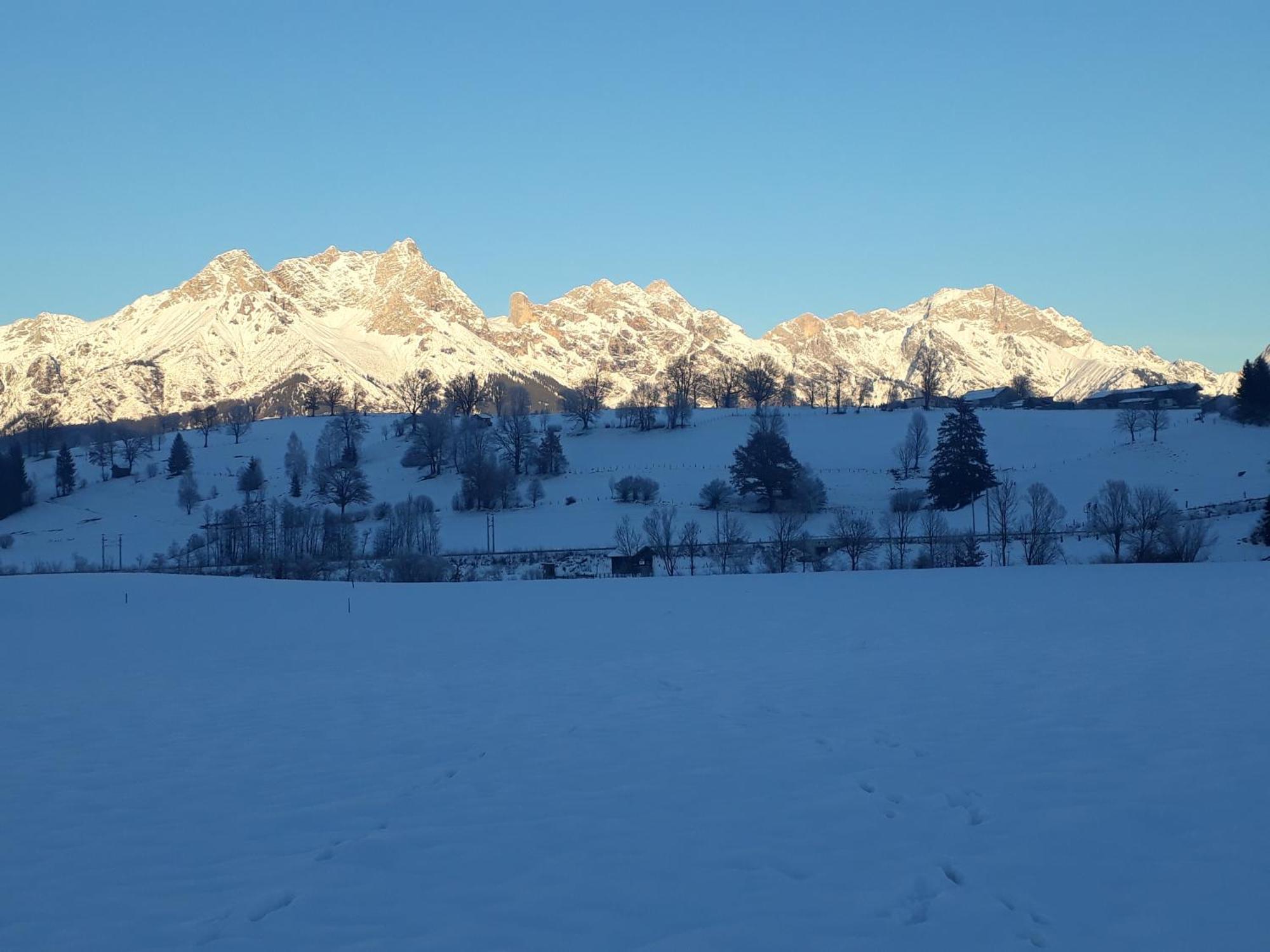 Apartchalet Sisi- Including Saalfelden Leogang Card Zewnętrze zdjęcie