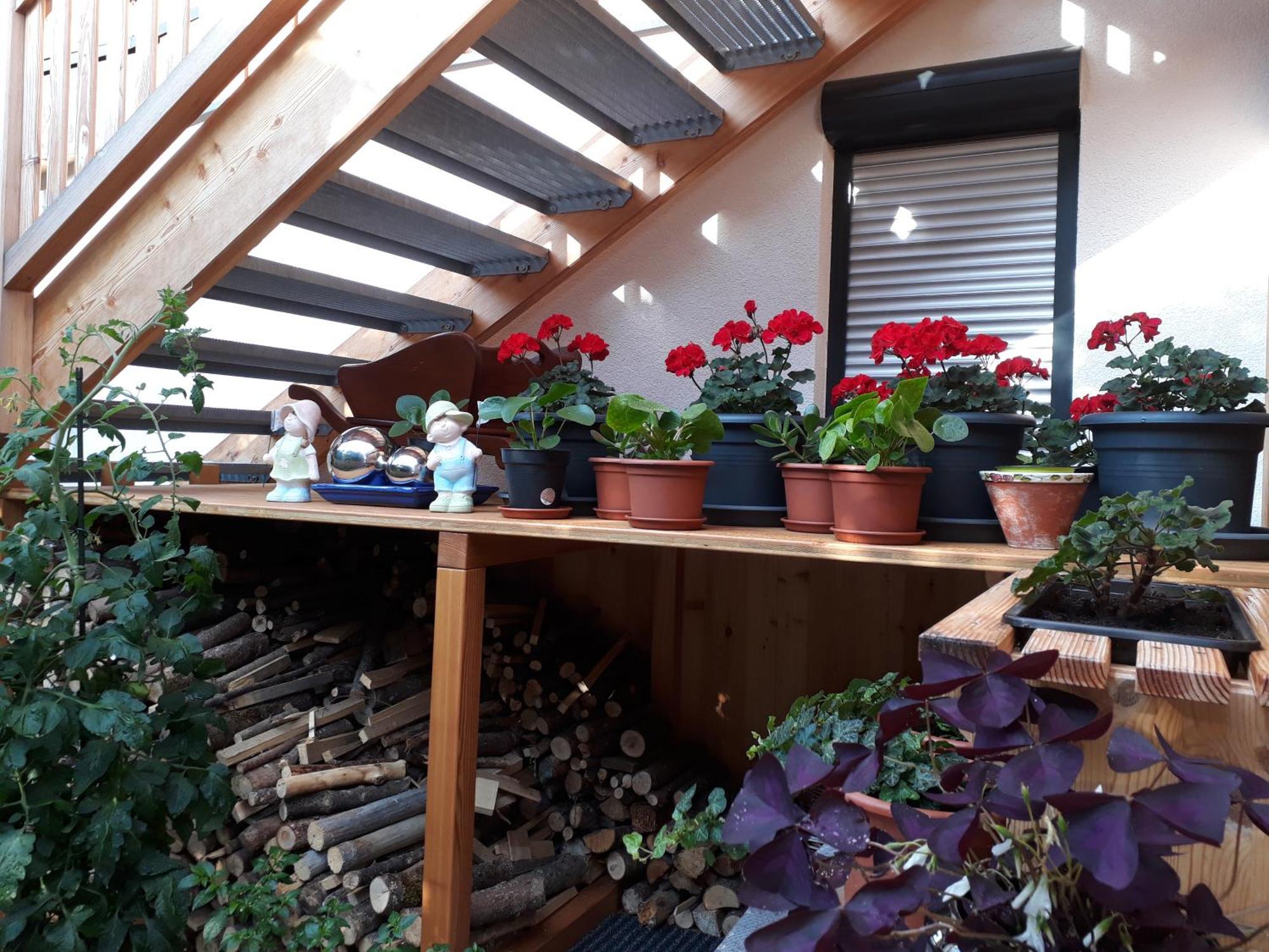 Apartchalet Sisi- Including Saalfelden Leogang Card Zewnętrze zdjęcie